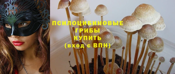 дживик Горнозаводск